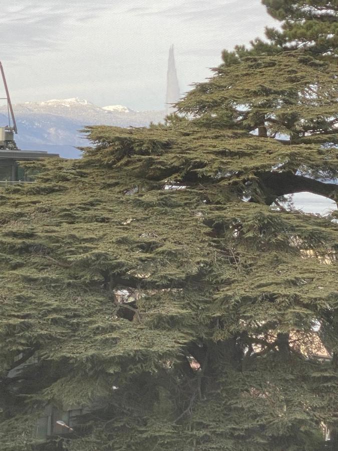 Geneve, Plein Centre,Belle Vue Lac, Splendide Et Grand Appartement Buitenkant foto