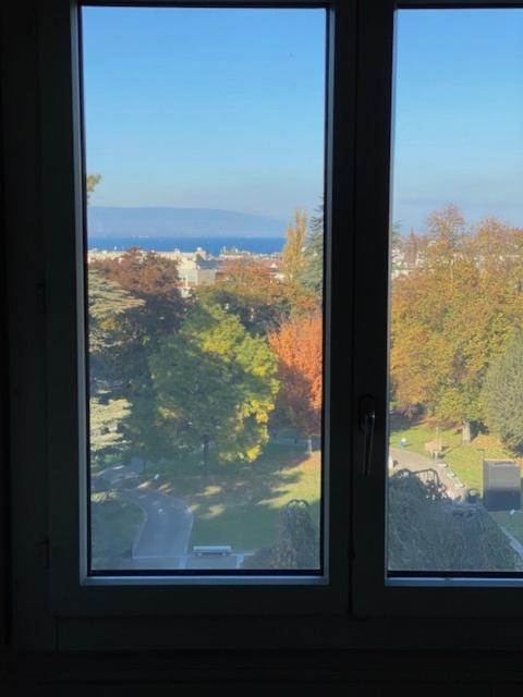 Geneve, Plein Centre,Belle Vue Lac, Splendide Et Grand Appartement Buitenkant foto
